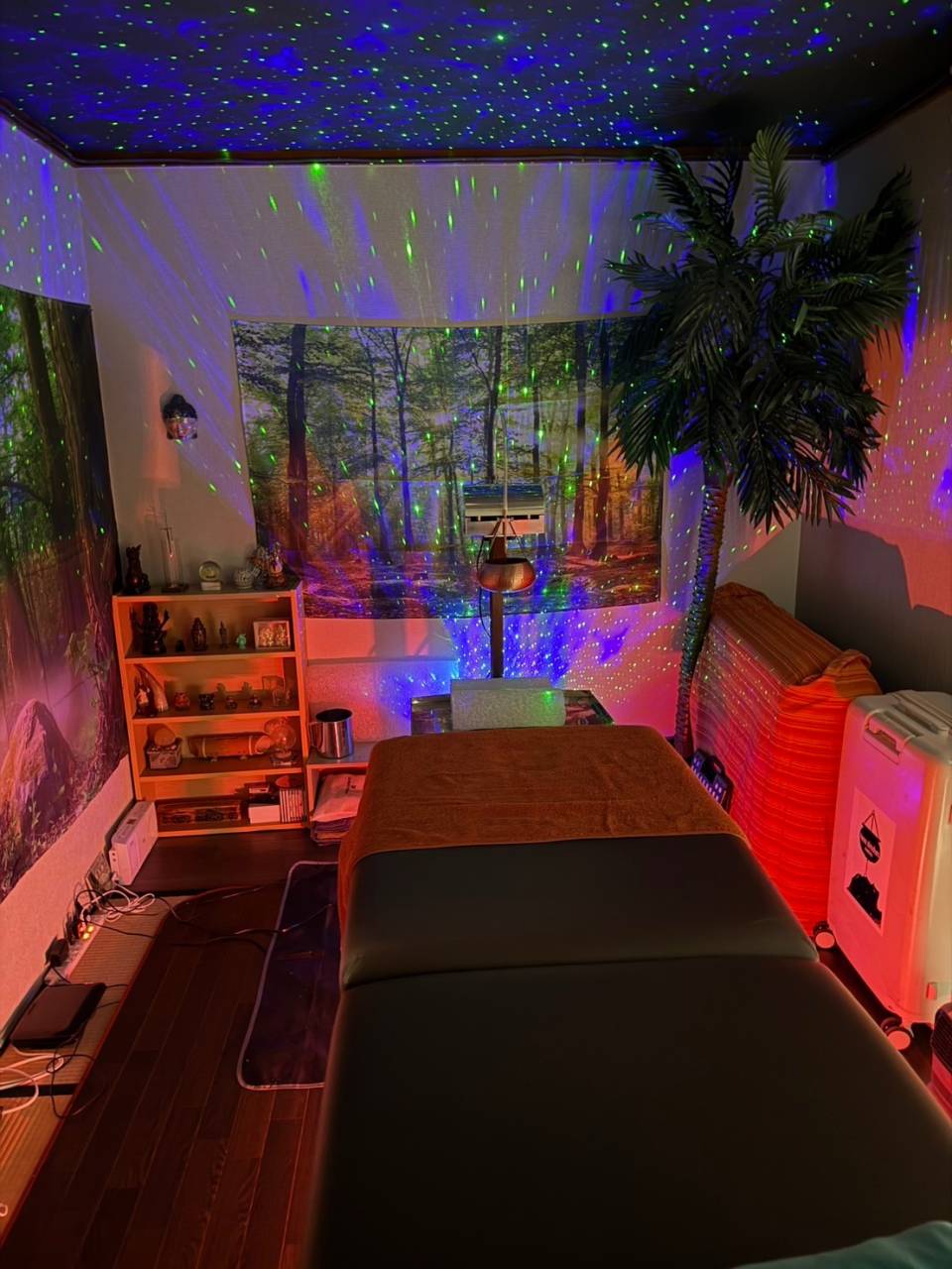 尾道からシロダーラ体験にご来社